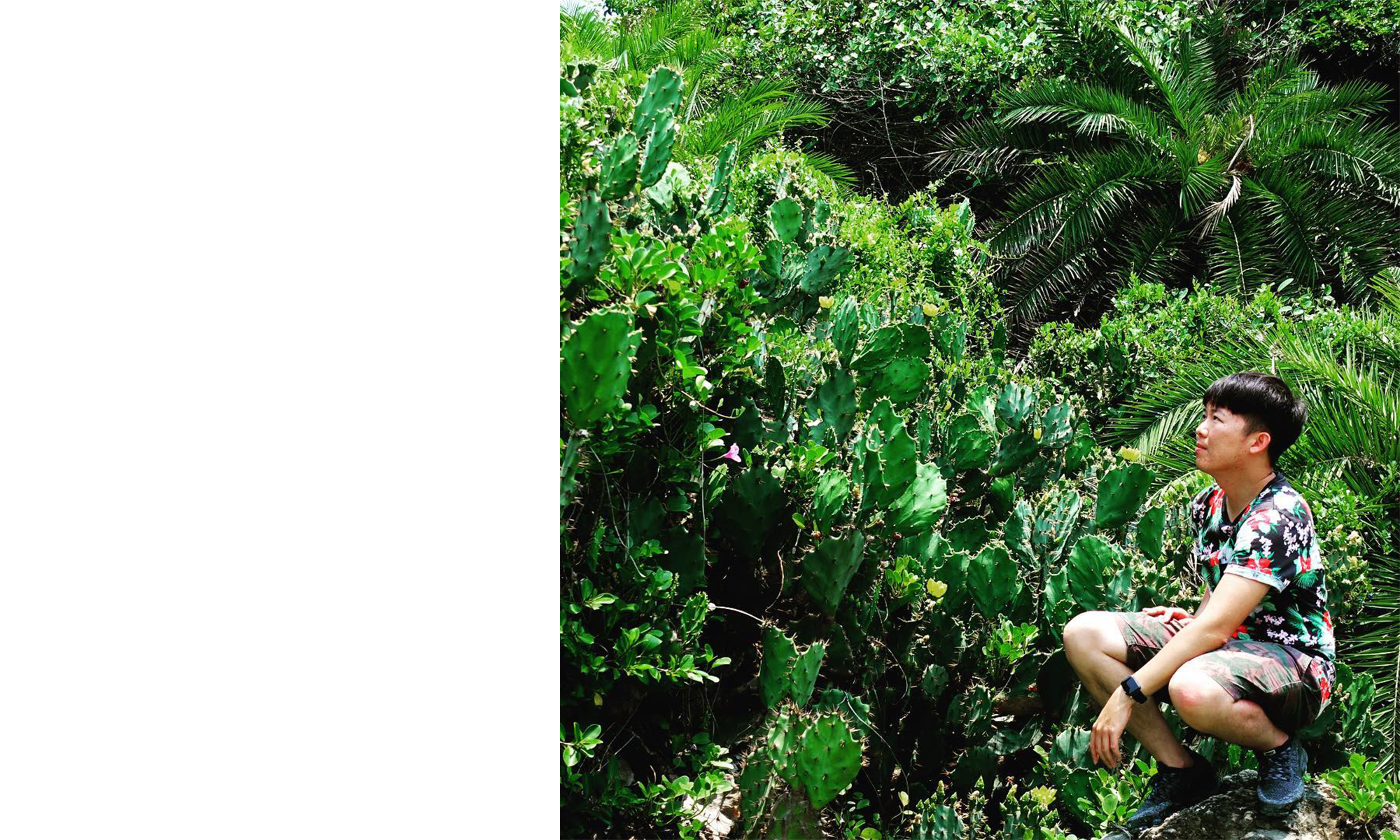 Project Featured Image