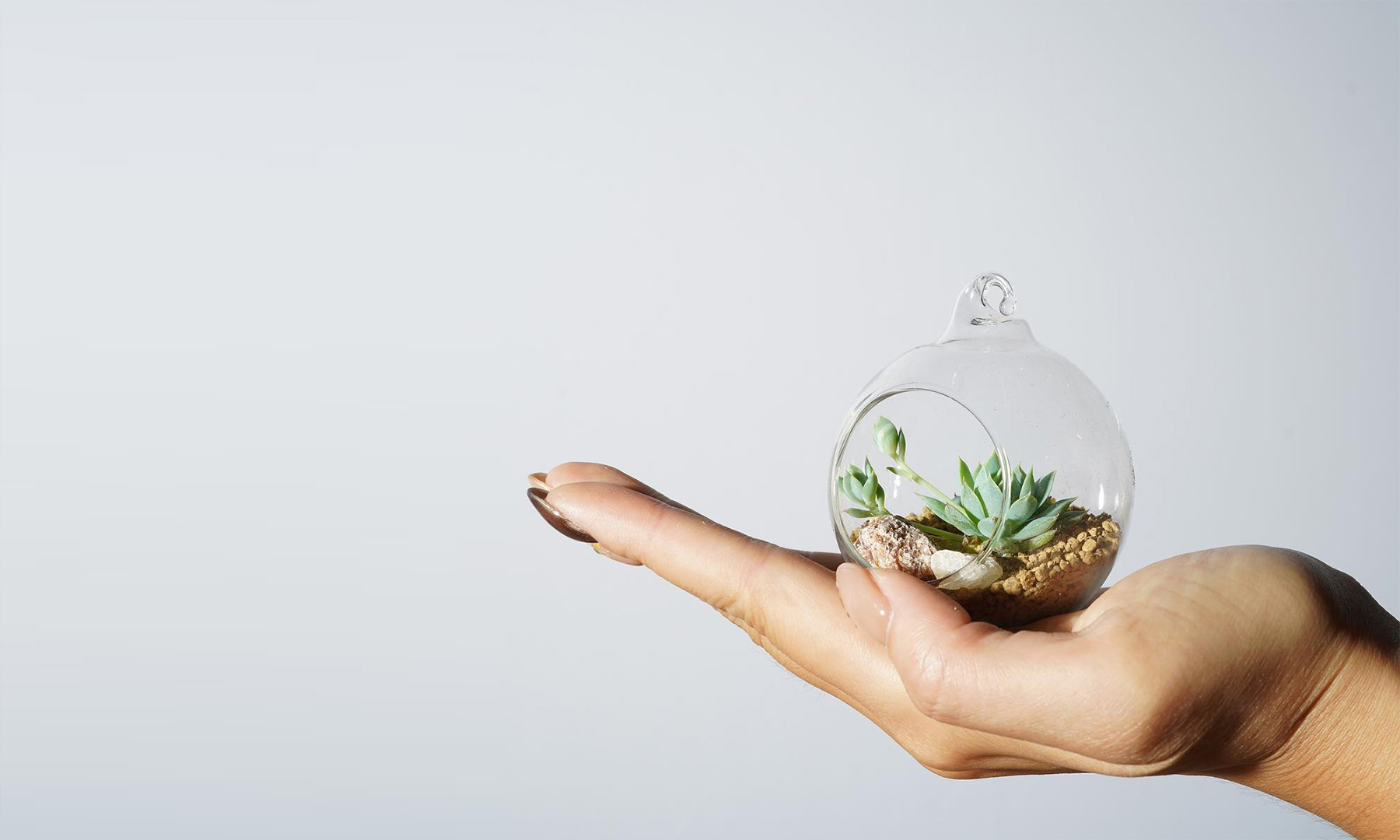 Project Featured Image