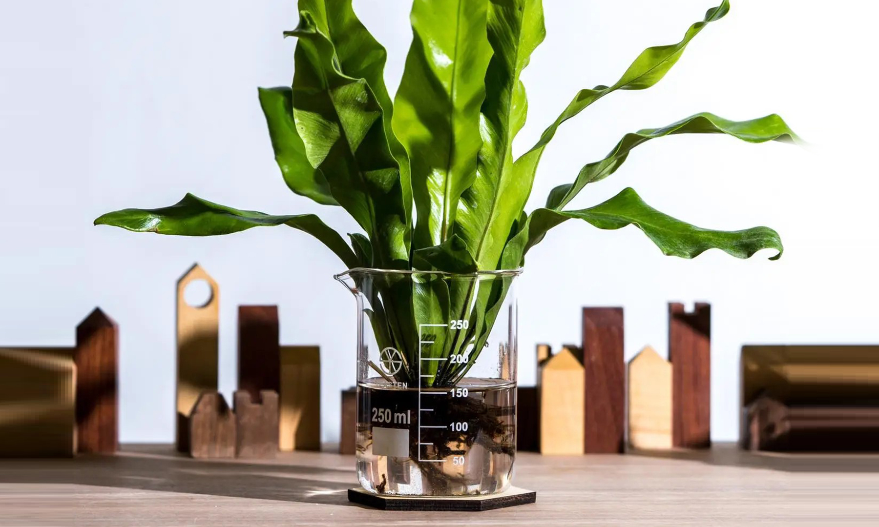 Project Featured Image